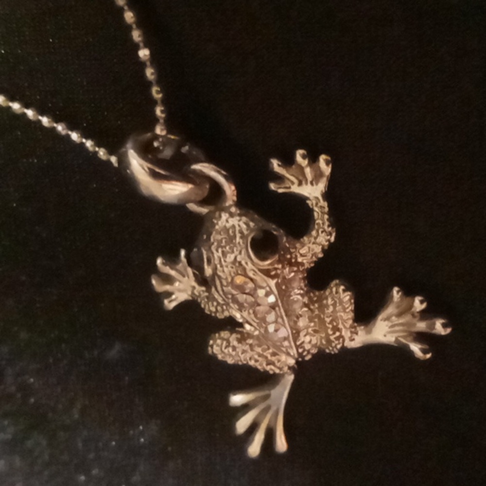 Silver Frog Pendant Necklace 18 in long black crystal eye & rhinestone body